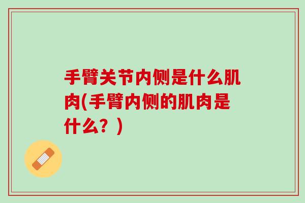 手臂关节内侧是什么肌肉(手臂内侧的肌肉是什么？)