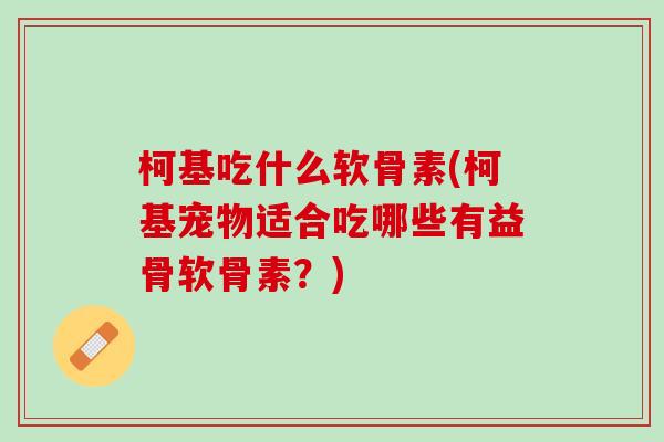 柯基吃什么软骨素(柯基宠物适合吃哪些有益骨软骨素？)
