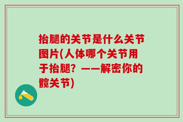 抬腿的关节是什么关节图片(人体哪个关节用于抬腿？——解密你的髋关节)