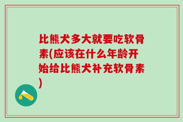 比熊犬多大就要吃软骨素(应该在什么年龄开始给比熊犬补充软骨素)