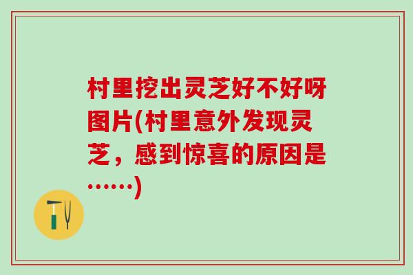 村里挖出灵芝好不好呀图片(村里意外发现灵芝，感到惊喜的原因是……)