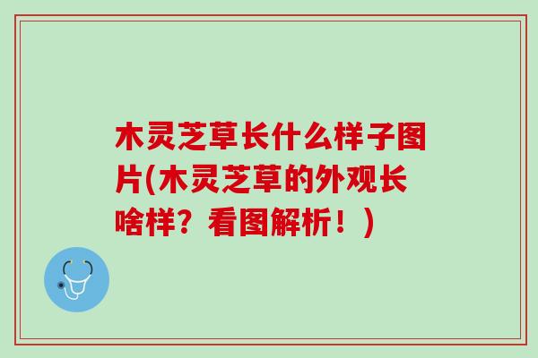 木灵芝草长什么样子图片(木灵芝草的外观长啥样？看图解析！)