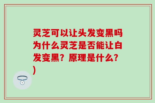 灵芝可以让头发变黑吗为什么灵芝是否能让白发变黑？原理是什么？)