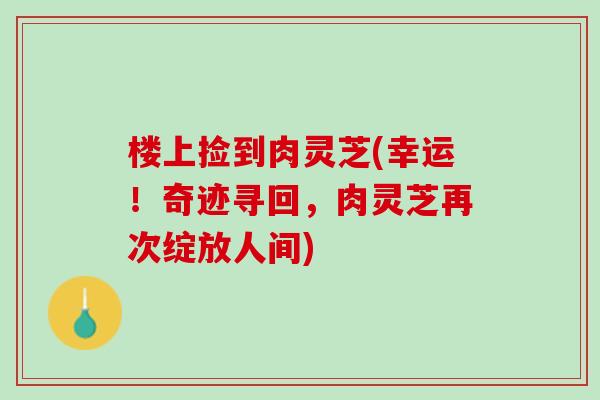 楼上捡到肉灵芝(幸运！奇迹寻回，肉灵芝再次绽放人间)