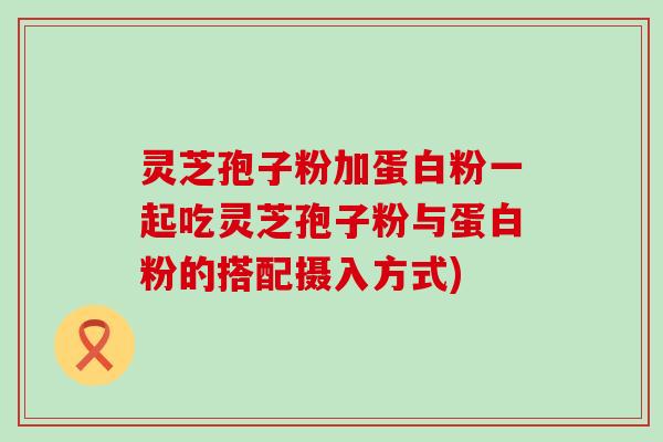 灵芝孢子粉加蛋白粉一起吃灵芝孢子粉与蛋白粉的搭配摄入方式)