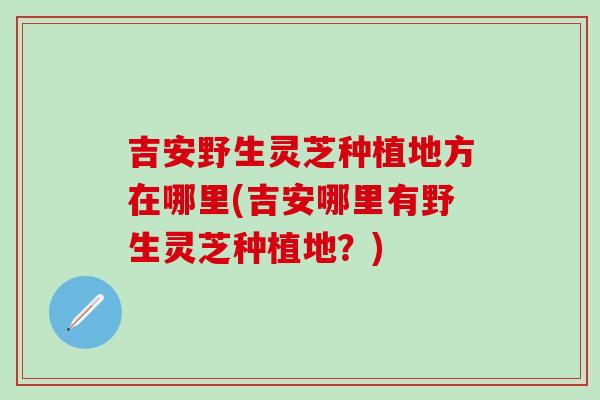 吉安野生灵芝种植地方在哪里(吉安哪里有野生灵芝种植地？)