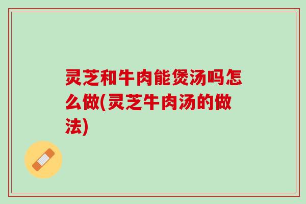灵芝和牛肉能煲汤吗怎么做(灵芝牛肉汤的做法)