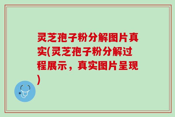 灵芝孢子粉分解图片真实(灵芝孢子粉分解过程展示，真实图片呈现)