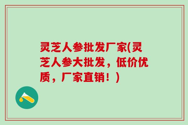 灵芝人参批发厂家(灵芝人参大批发，低价优质，厂家直销！)