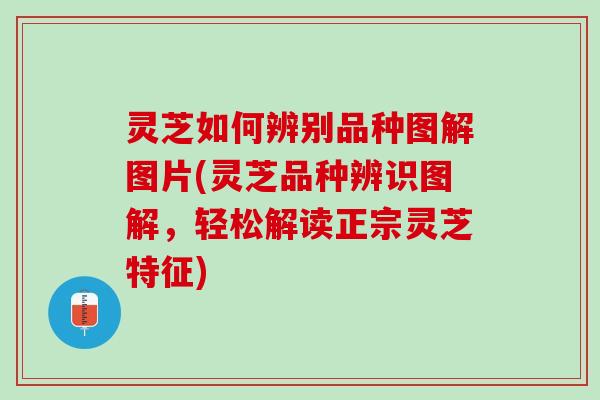 灵芝如何辨别品种图解图片(灵芝品种辨识图解，轻松解读正宗灵芝特征)