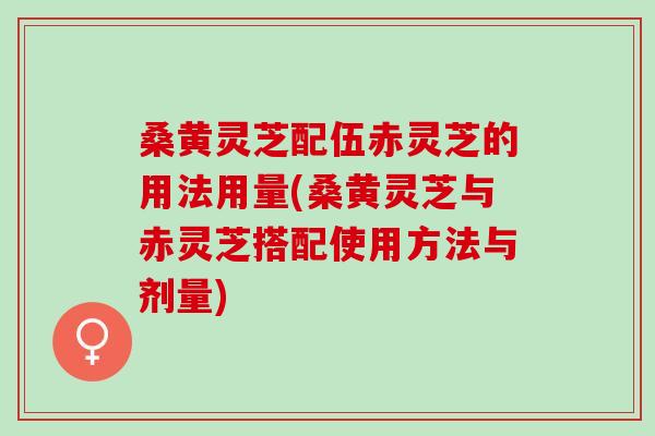 桑黄灵芝配伍赤灵芝的用法用量(桑黄灵芝与赤灵芝搭配使用方法与剂量)