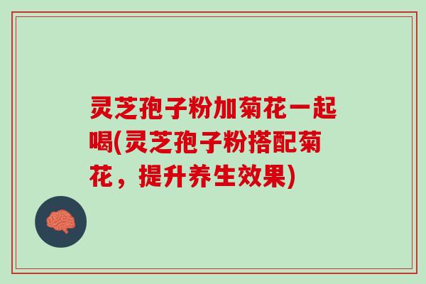 灵芝孢子粉加菊花一起喝(灵芝孢子粉搭配菊花，提升养生效果)