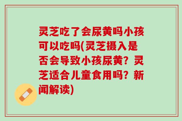 灵芝吃了会尿黄吗小孩可以吃吗(灵芝摄入是否会导致小孩尿黄？灵芝适合儿童食用吗？新闻解读)