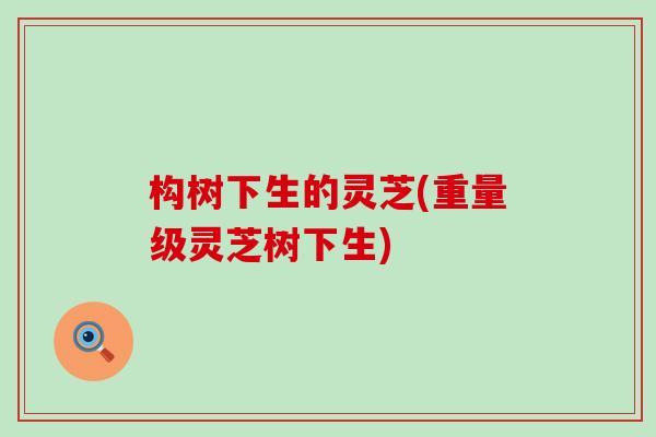 构树下生的灵芝(重量级灵芝树下生)
