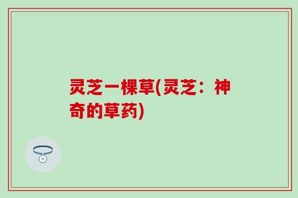 灵芝一棵草(灵芝：神奇的草药)