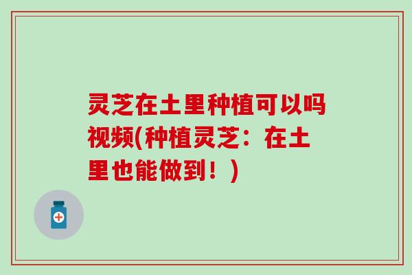 灵芝在土里种植可以吗视频(种植灵芝：在土里也能做到！)