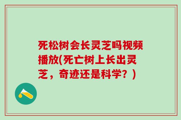 死松树会长灵芝吗视频播放(死亡树上长出灵芝，奇迹还是科学？)