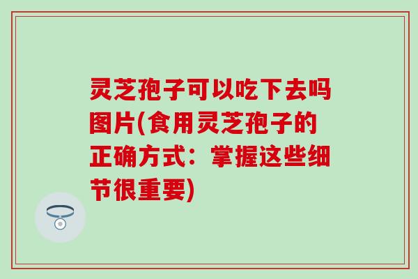 灵芝孢子可以吃下去吗图片(食用灵芝孢子的正确方式：掌握这些细节很重要)