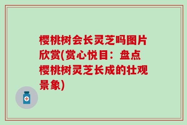 樱桃树会长灵芝吗图片欣赏(赏心悦目：盘点樱桃树灵芝长成的壮观景象)