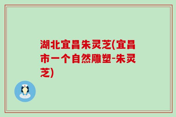 湖北宜昌朱灵芝(宜昌市一个自然雕塑-朱灵芝)