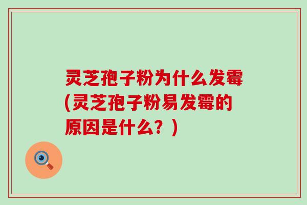 灵芝孢子粉为什么发霉(灵芝孢子粉易发霉的原因是什么？)