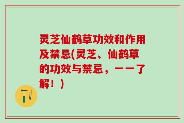 灵芝仙鹤草功效和作用及禁忌(灵芝、仙鹤草的功效与禁忌，一一了解！)
