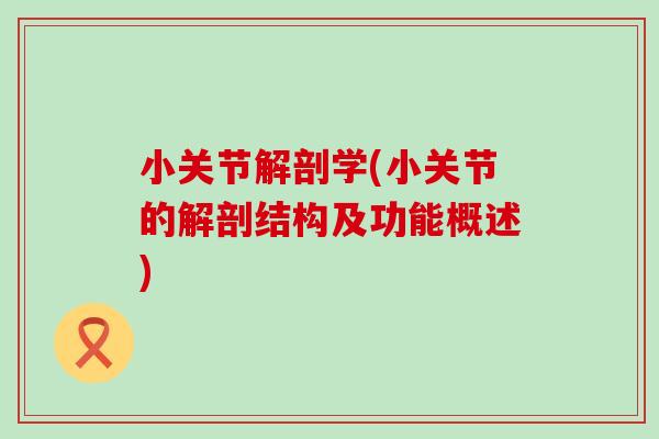 小关节解剖学(小关节的解剖结构及功能概述)