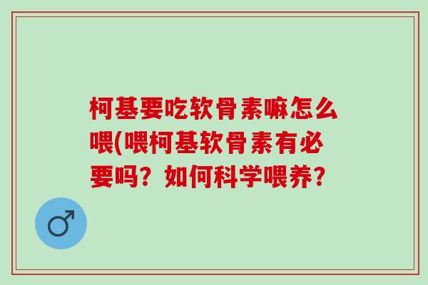 柯基要吃软骨素嘛怎么喂(喂柯基软骨素有必要吗？如何科学喂养？