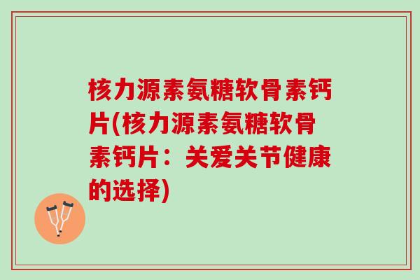 核力源素氨糖软骨素钙片(核力源素氨糖软骨素钙片：关爱关节健康的选择)
