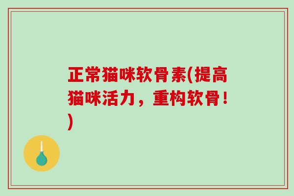 正常猫咪软骨素(提高猫咪活力，重构软骨！)