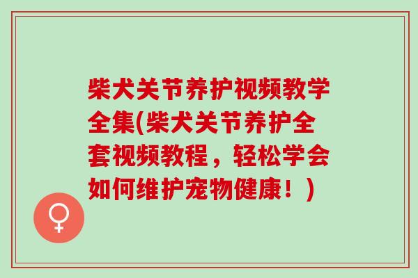 柴犬关节养护视频教学全集(柴犬关节养护全套视频教程，轻松学会如何维护宠物健康！)