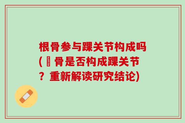 根骨参与踝关节构成吗(髕骨是否构成踝关节？重新解读研究结论)