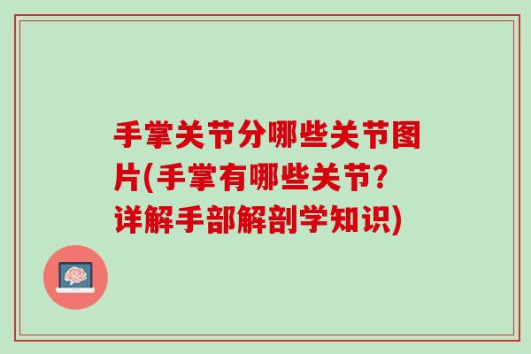 手掌关节分哪些关节图片(手掌有哪些关节？详解手部解剖学知识)