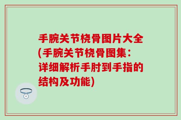 手腕关节桡骨图片大全(手腕关节桡骨图集：详细解析手肘到手指的结构及功能)