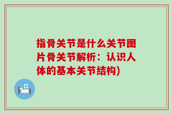 指骨关节是什么关节图片骨关节解析：认识人体的基本关节结构)