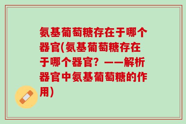 氨基葡萄糖存在于哪个器官(氨基葡萄糖存在于哪个器官？——解析器官中氨基葡萄糖的作用)