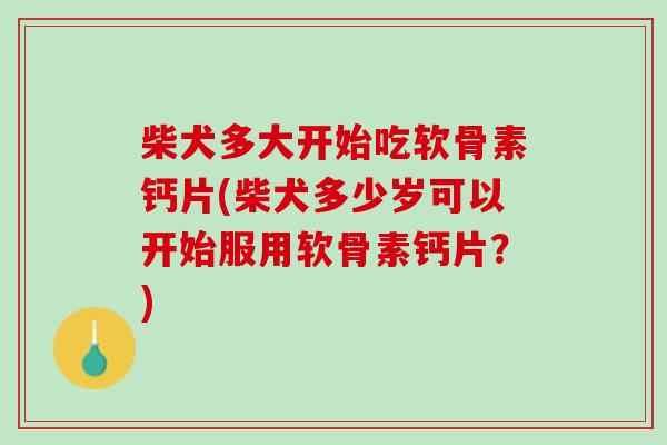 柴犬多大开始吃软骨素钙片(柴犬多少岁可以开始服用软骨素钙片？)
