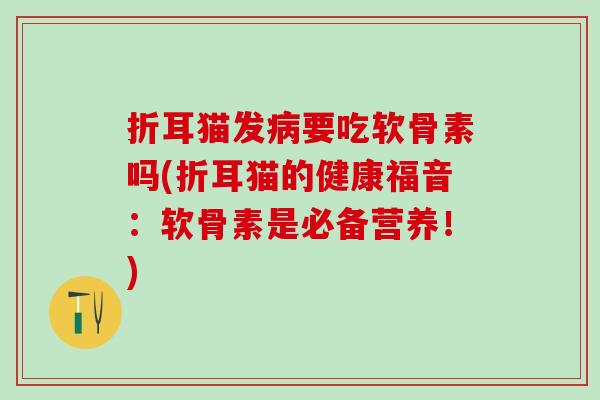 折耳猫发病要吃软骨素吗(折耳猫的健康福音：软骨素是必备营养！)