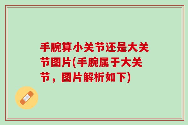 手腕算小关节还是大关节图片(手腕属于大关节，图片解析如下)