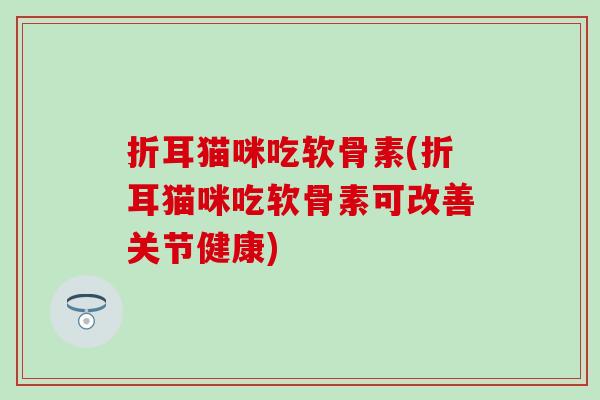 折耳猫咪吃软骨素(折耳猫咪吃软骨素可改善关节健康)