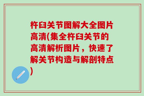 杵臼关节图解大全图片高清(集全杵臼关节的高清解析图片，快速了解关节构造与解剖特点)