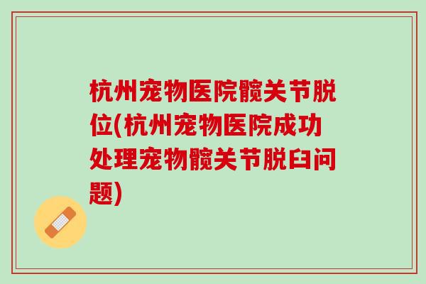 杭州宠物医院髋关节脱位(杭州宠物医院成功处理宠物髋关节脱臼问题)