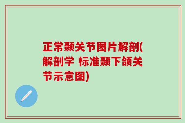 正常颞关节图片解剖(解剖学 标准颞下颌关节示意图)