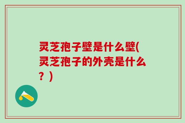 灵芝孢子壁是什么壁(灵芝孢子的外壳是什么？)