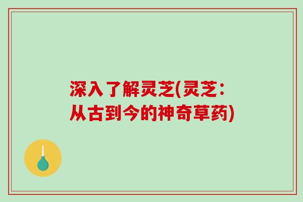 深入了解灵芝(灵芝：从古到今的神奇草药)