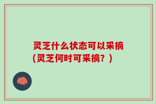 灵芝什么状态可以采摘(灵芝何时可采摘？)