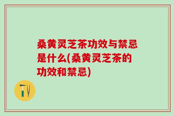 桑黄灵芝茶功效与禁忌是什么(桑黄灵芝茶的功效和禁忌)
