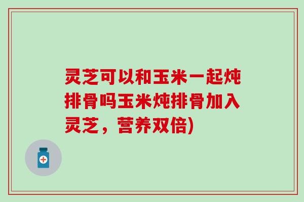 灵芝可以和玉米一起炖排骨吗玉米炖排骨加入灵芝，营养双倍)