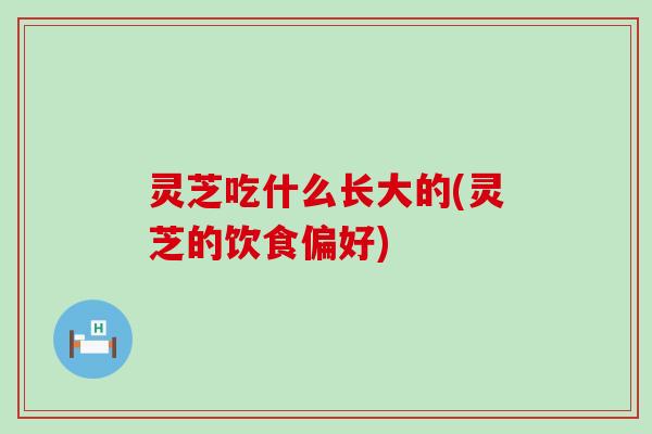 灵芝吃什么长大的(灵芝的饮食偏好)