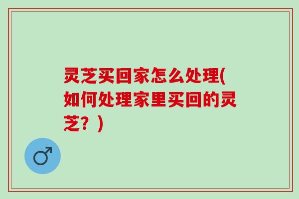 灵芝买回家怎么处理(如何处理家里买回的灵芝？)